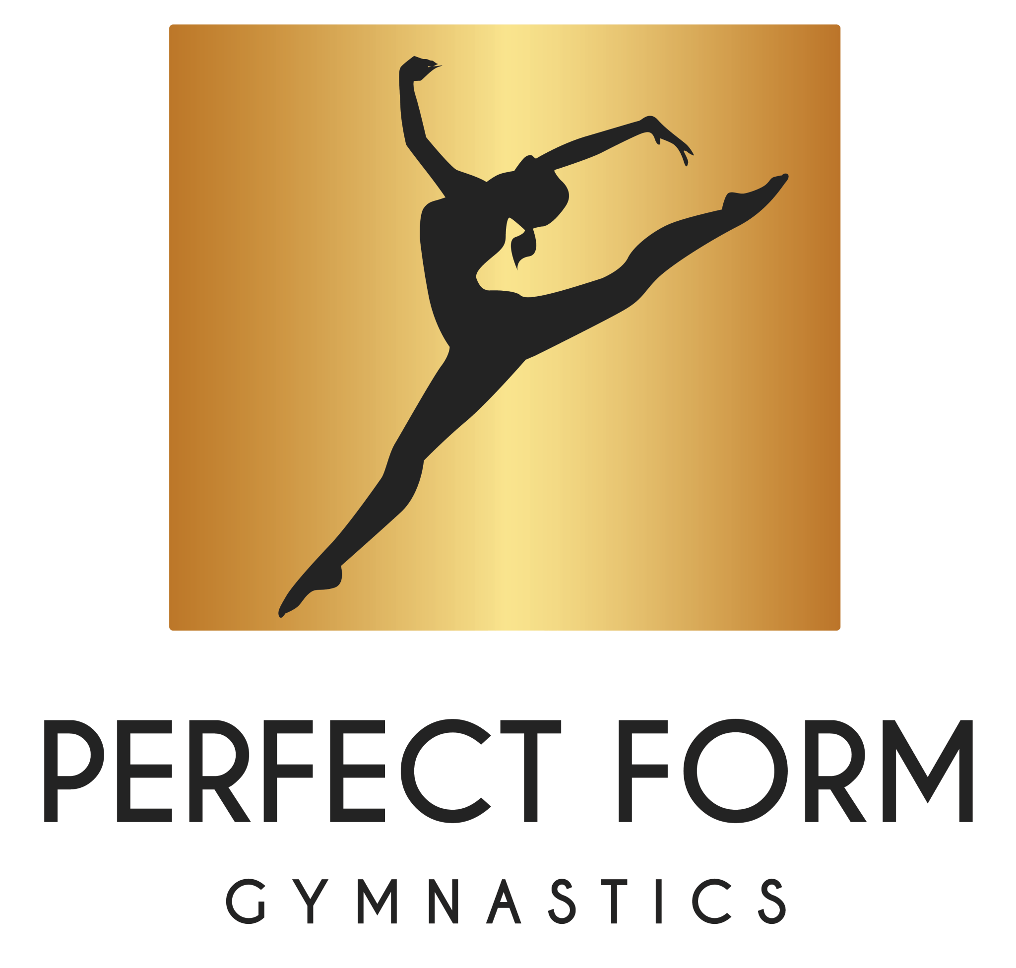 programmes-perfect-form-gymnastics